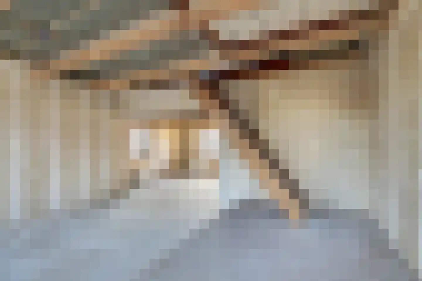Lytsebuorren 2 Berltsum thumbnail 19