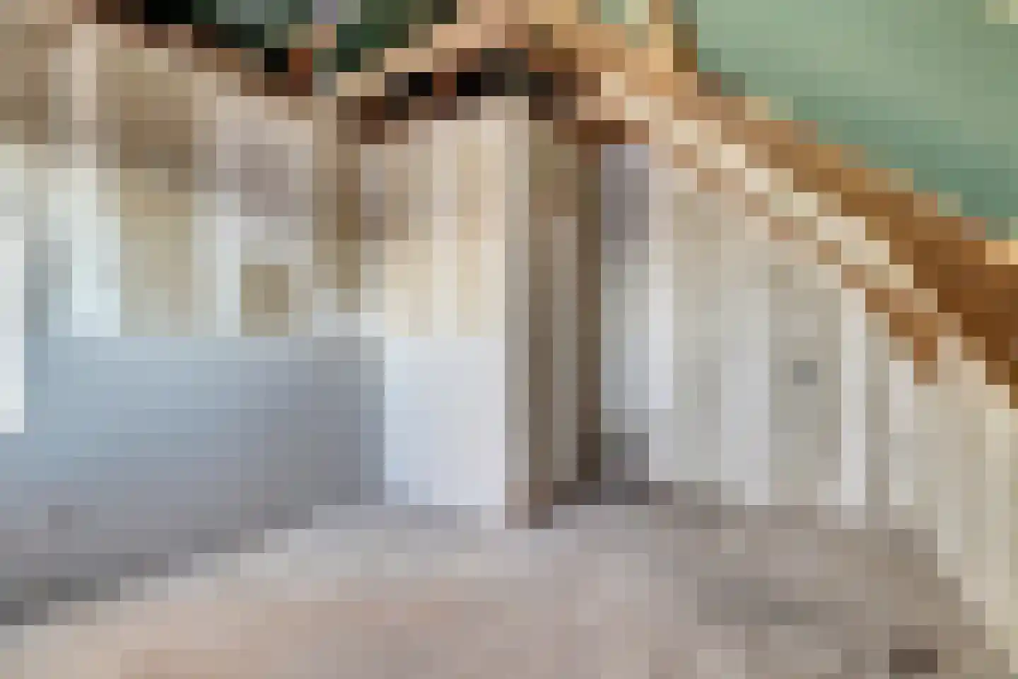 Lytsebuorren 2 Berltsum thumbnail 24