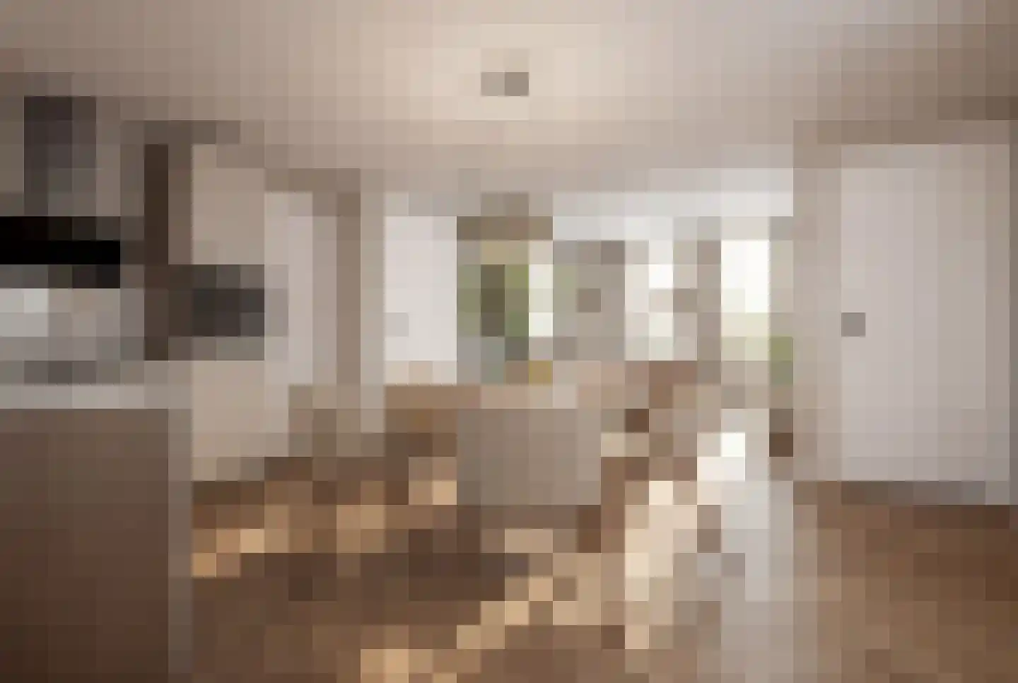 Lytsebuorren 2 Berltsum thumbnail 30