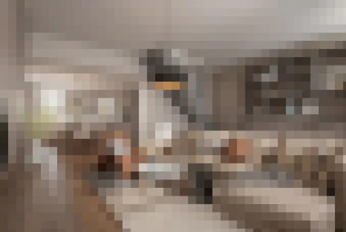 Lytsebuorren 2 Berltsum thumbnail 31