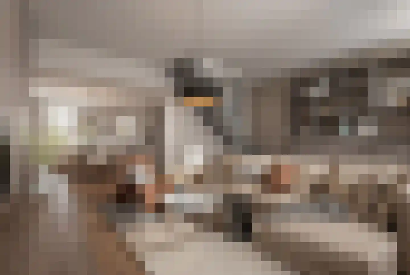 Lytsebuorren 2 Berltsum thumbnail 31