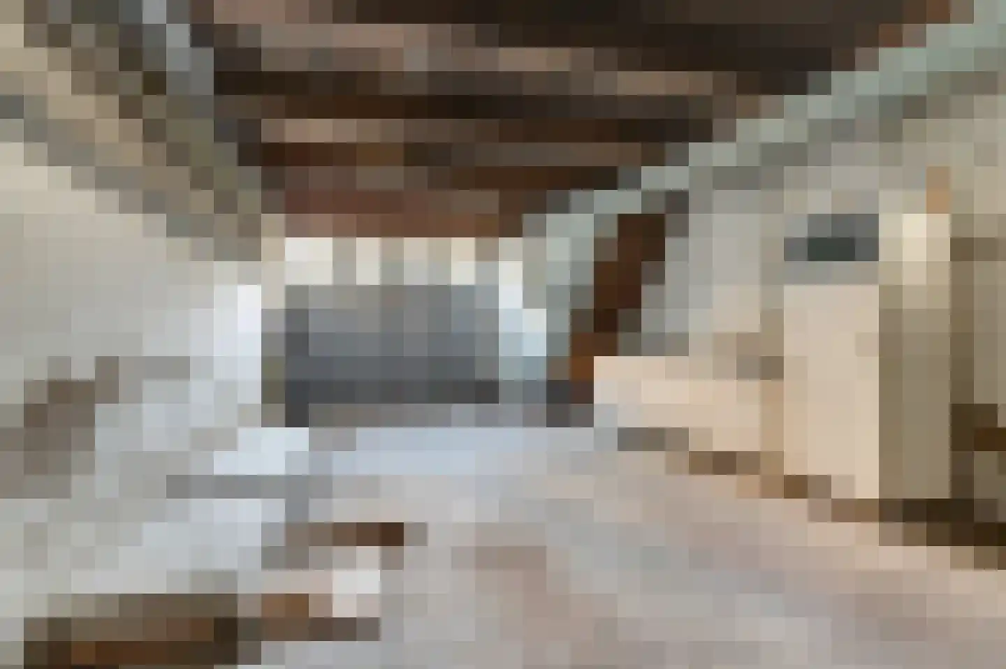 Lytsebuorren 2 Berltsum thumbnail 7