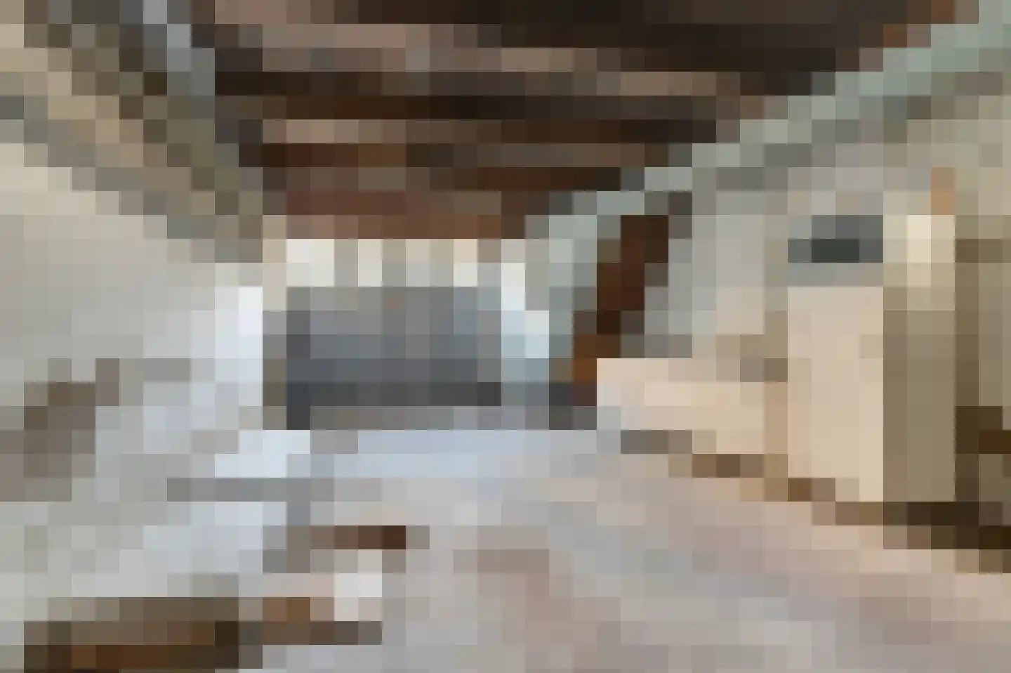Lytsebuorren 2 Berltsum thumbnail 7