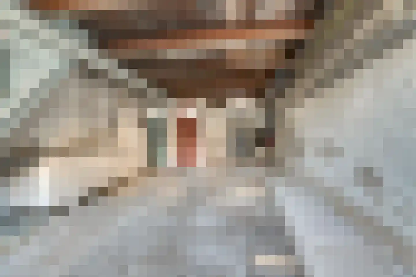 Lytsebuorren 2 Berltsum thumbnail 8