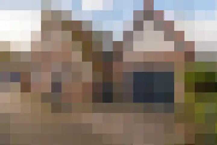 Lytsebuorren 9 Blije