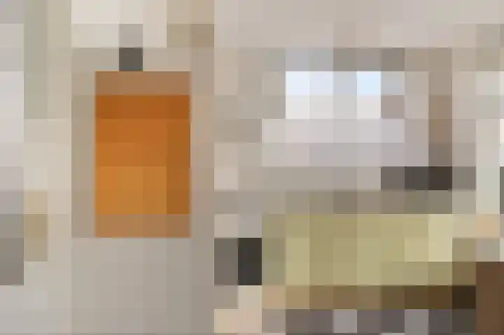 Lytsebuorren 9 Blije thumbnail 12