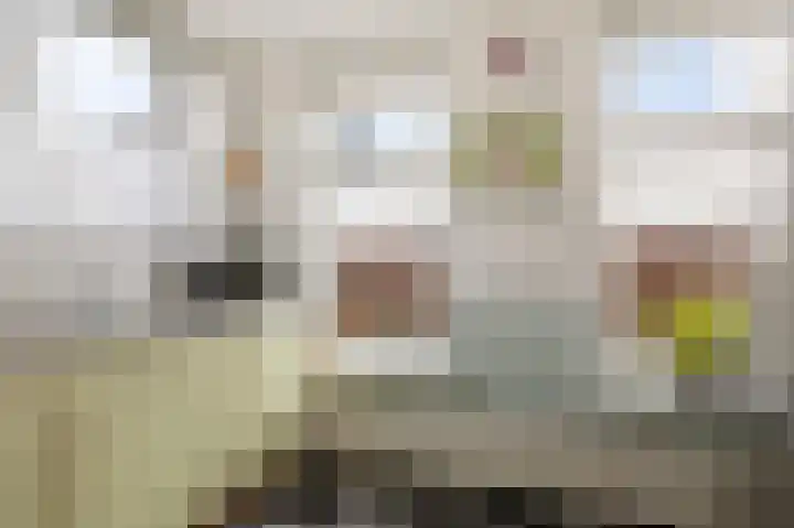 Lytsebuorren 9 Blije thumbnail 13