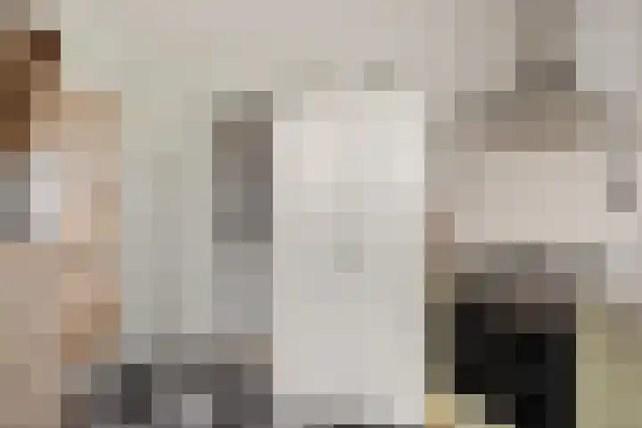 Lytsebuorren 9 Blije thumbnail 14
