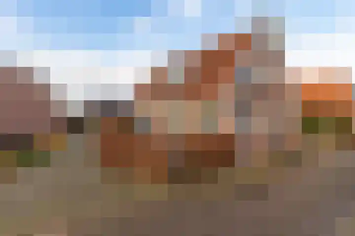 Lytsebuorren 9 Blije foto 2
