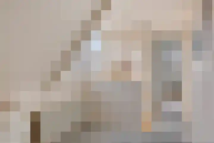 Lytsebuorren 9 Blije thumbnail 20