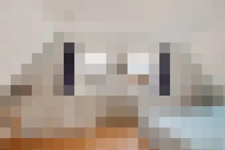 Lytsebuorren 9 Blije thumbnail 22