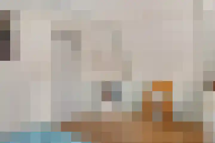 Lytsebuorren 9 Blije thumbnail 24