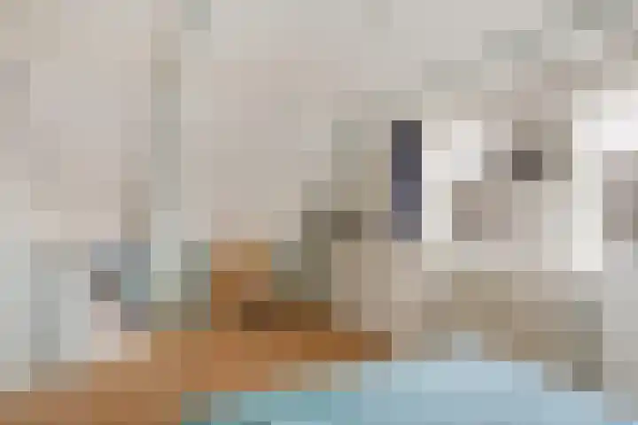 Lytsebuorren 9 Blije thumbnail 25