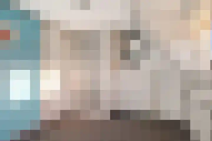 Lytsebuorren 9 Blije thumbnail 27