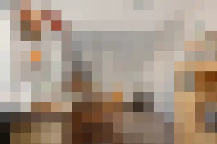 Lytsebuorren 9 Blije thumbnail 29