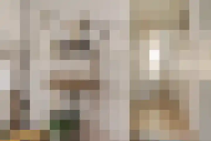 Lytsebuorren 9 Blije thumbnail 30