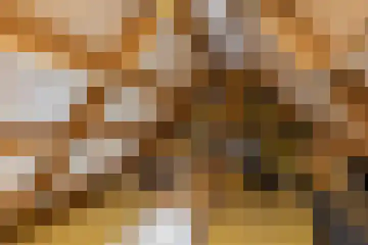 Lytsebuorren 9 Blije thumbnail 33