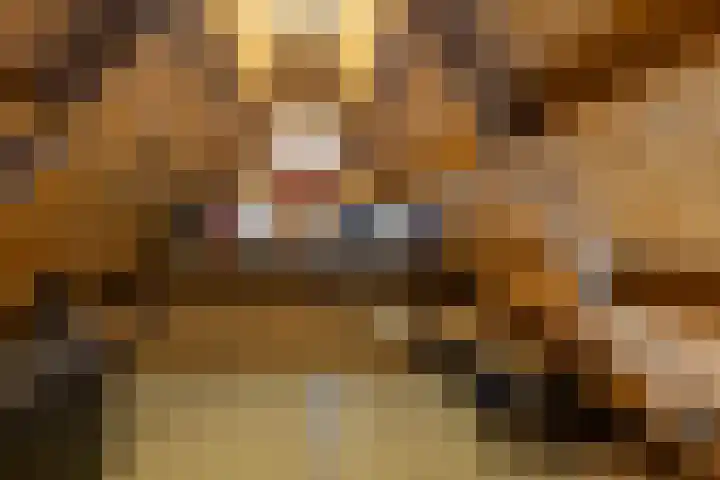 Lytsebuorren 9 Blije thumbnail 34