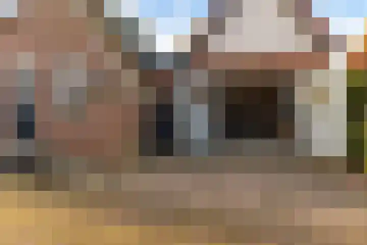 Lytsebuorren 9 Blije thumbnail 35