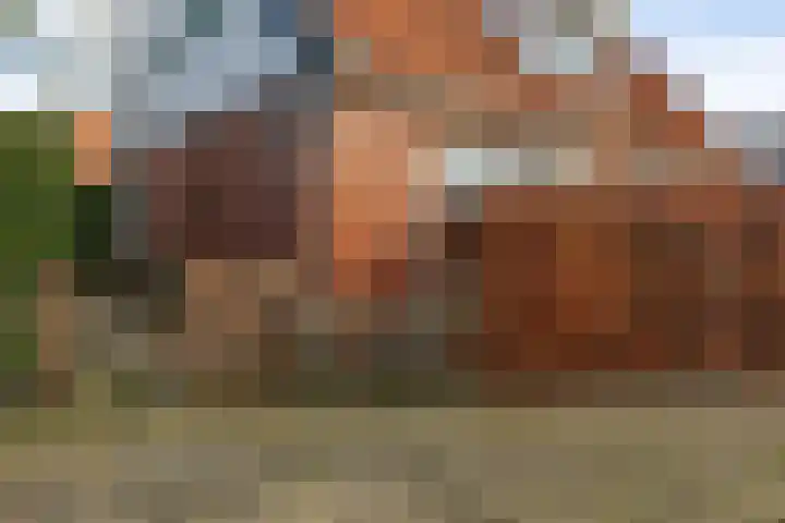 Lytsebuorren 9 Blije thumbnail 37