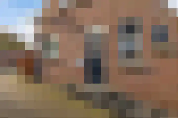 Lytsebuorren 9 Blije thumbnail 38