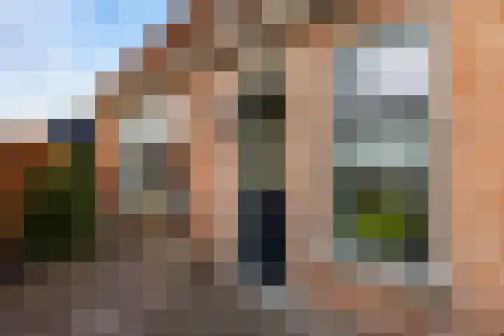 Lytsebuorren 9 Blije thumbnail 39