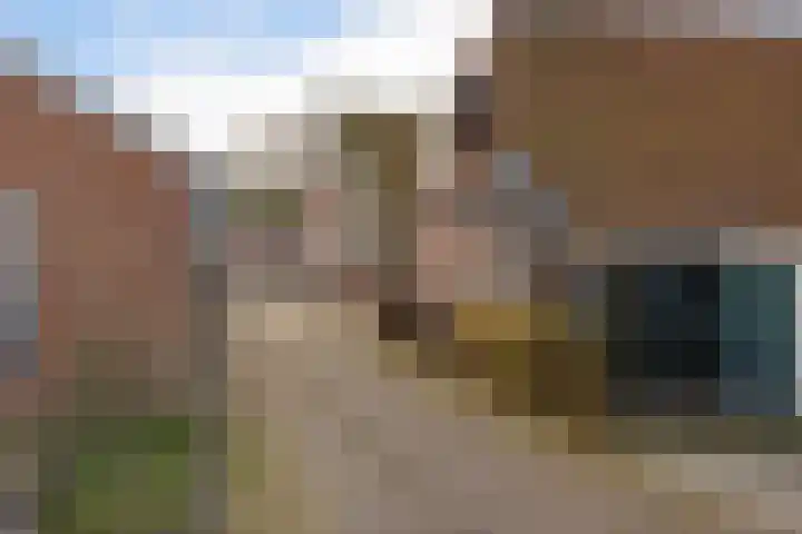 Lytsebuorren 9 Blije thumbnail 41
