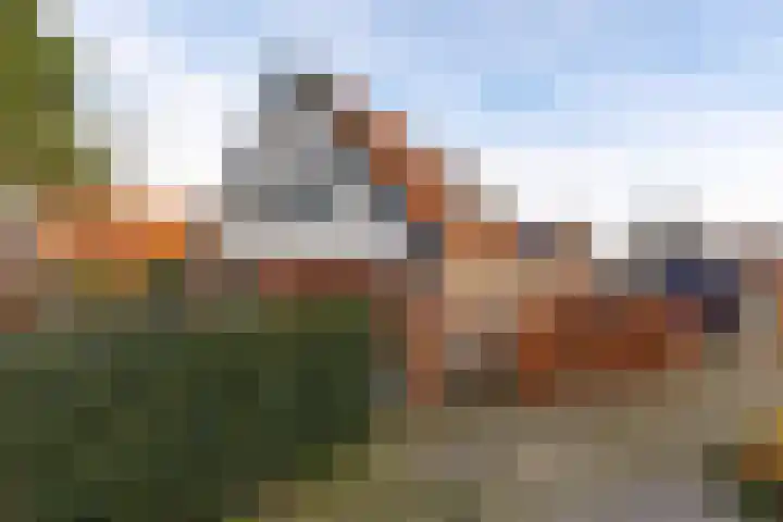 Lytsebuorren 9 Blije thumbnail 43
