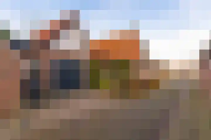 Lytsebuorren 9 Blije thumbnail 44