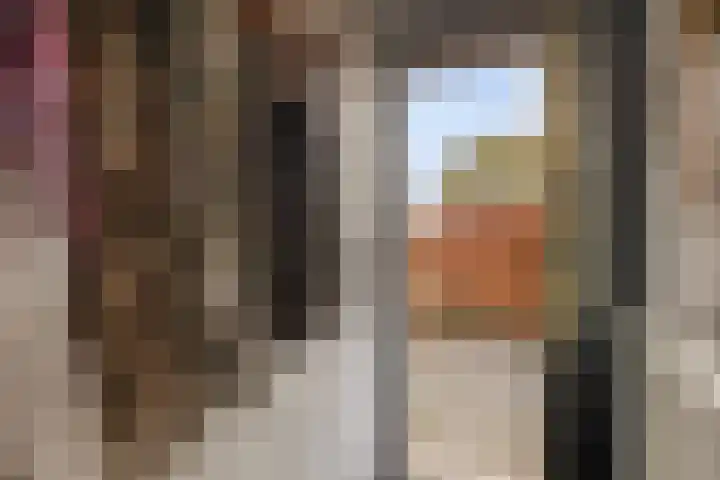 Lytsebuorren 9 Blije thumbnail 6