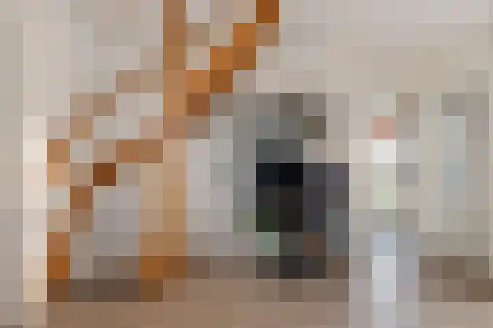 Lytsebuorren 9 Blije thumbnail 7