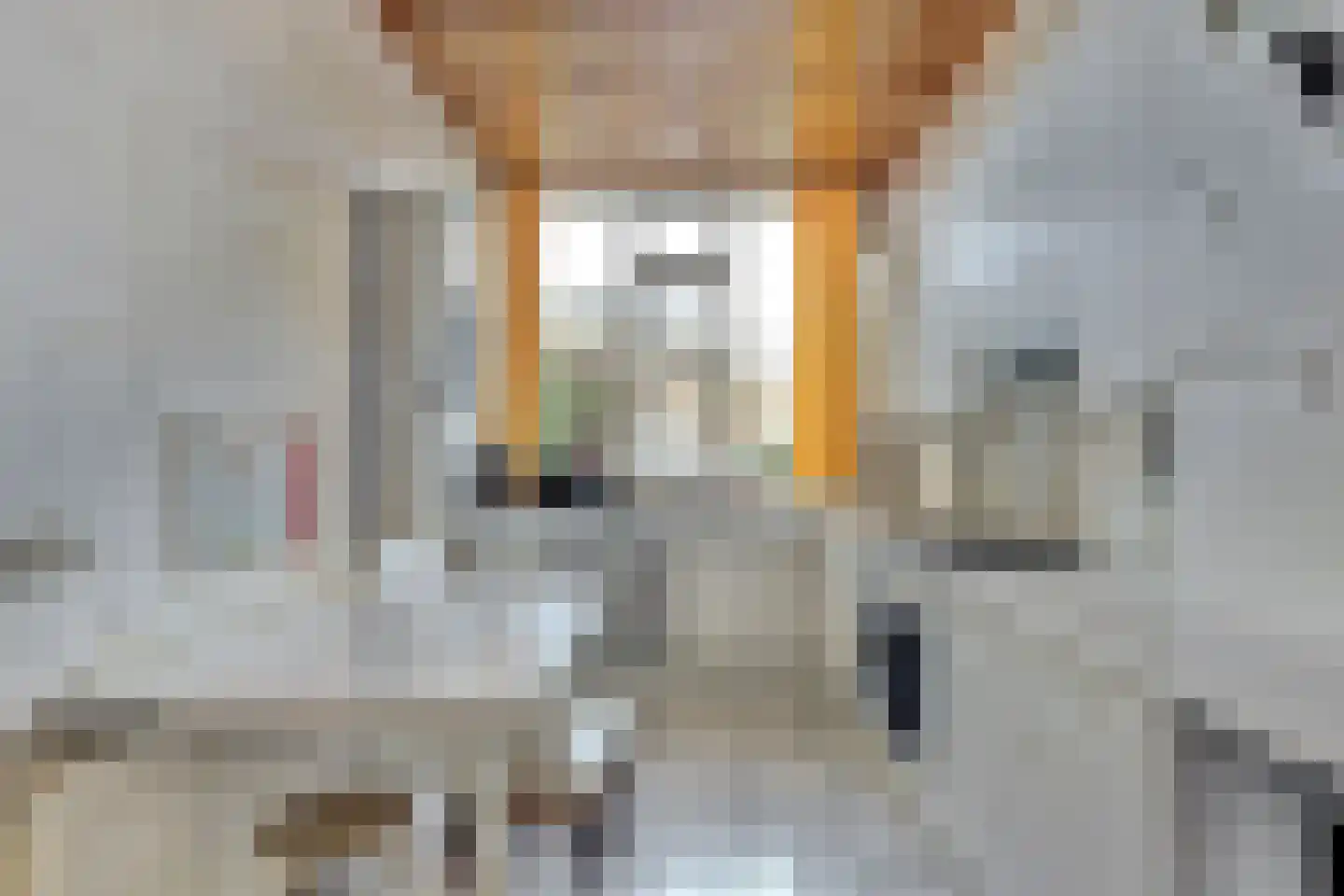 Lytsedyk 10 Menaam thumbnail 16