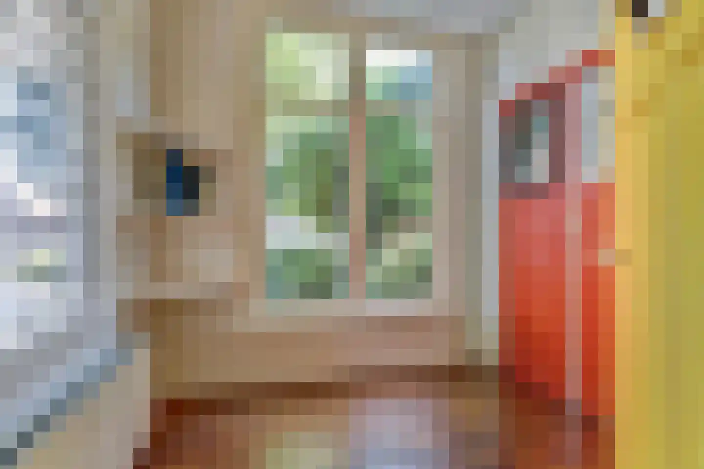 Lytsedyk 10 Menaam thumbnail 17