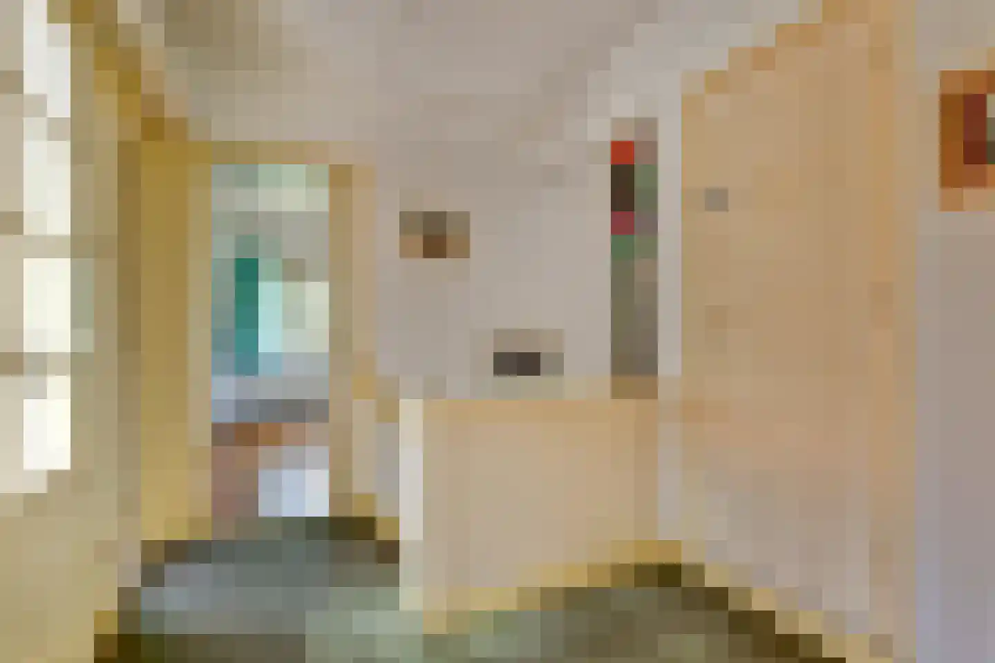 Lytsedyk 10 Menaam thumbnail 18