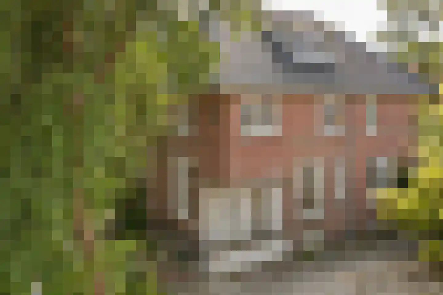 Lytsedyk 10 Menaam foto 2