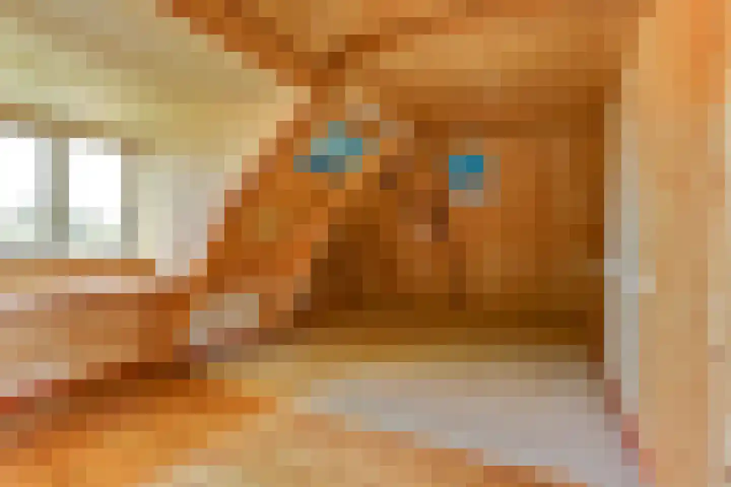 Lytsedyk 10 Menaam thumbnail 25