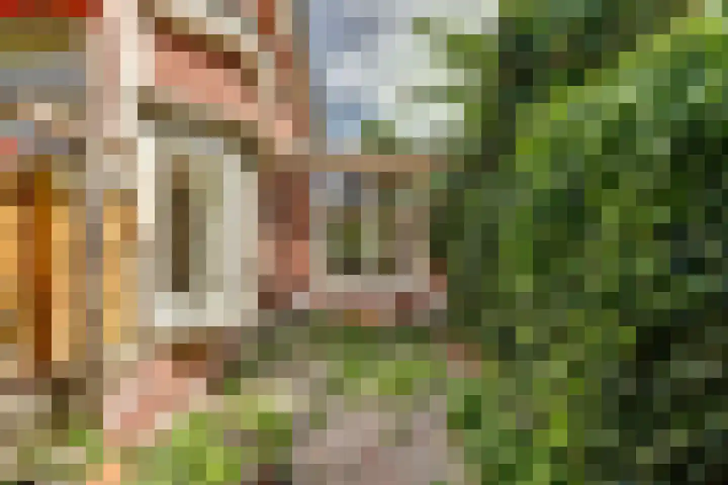 Lytsedyk 10 Menaam thumbnail 30