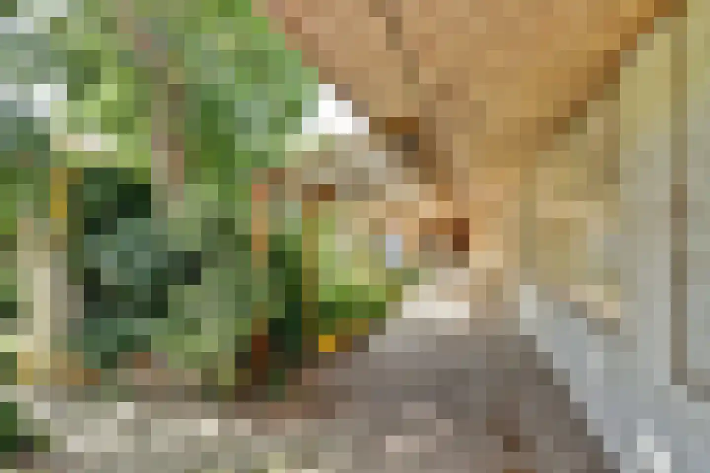 Lytsedyk 10 Menaam thumbnail 31