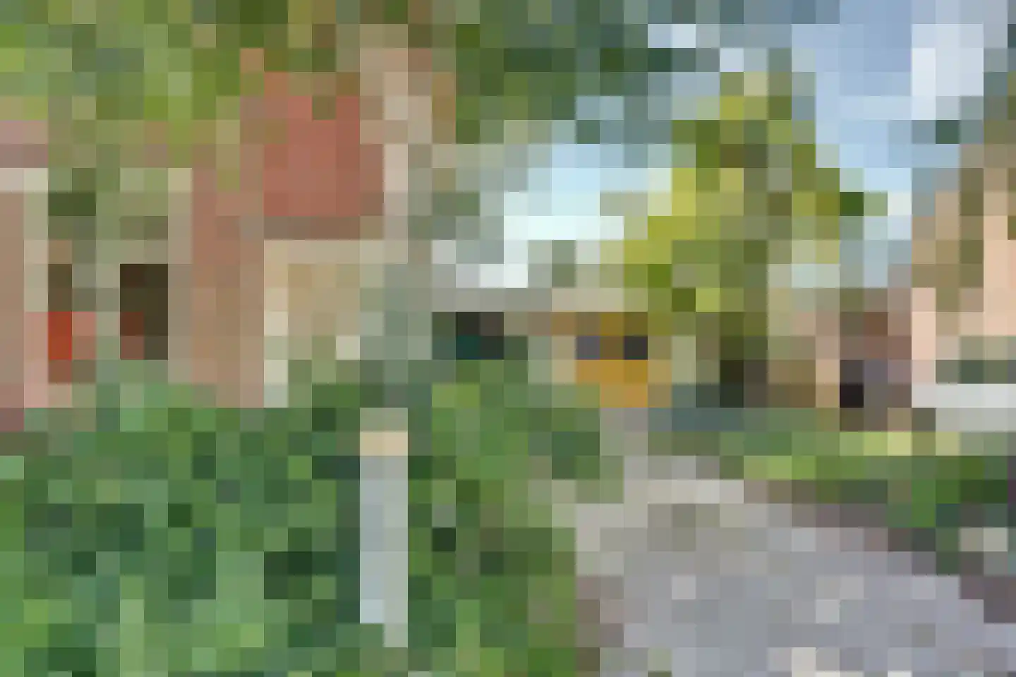 Lytsedyk 10 Menaam thumbnail 32