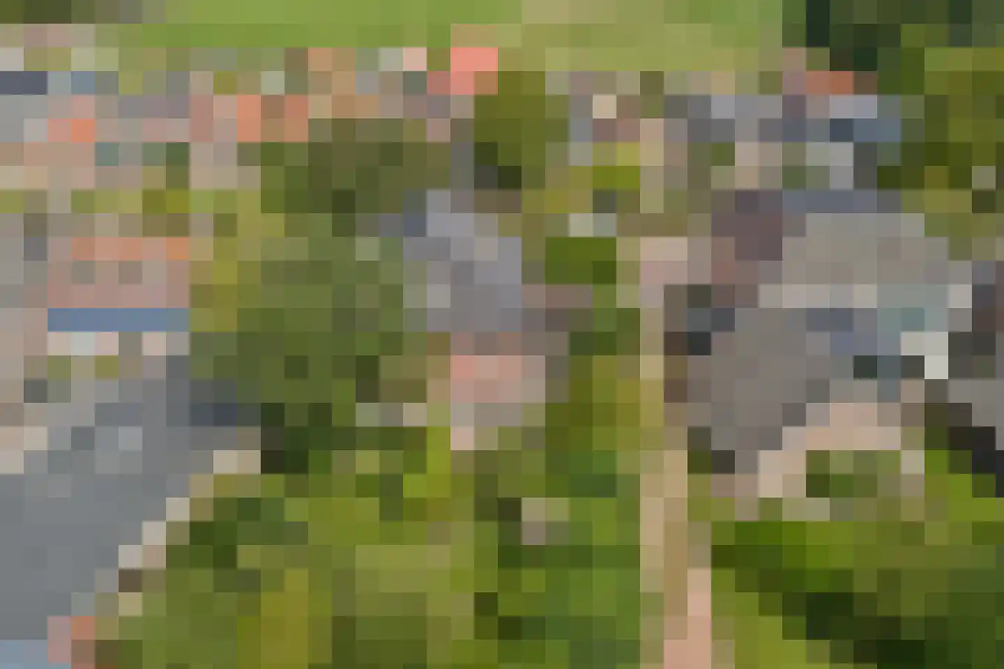 Lytsedyk 10 Menaam thumbnail 36