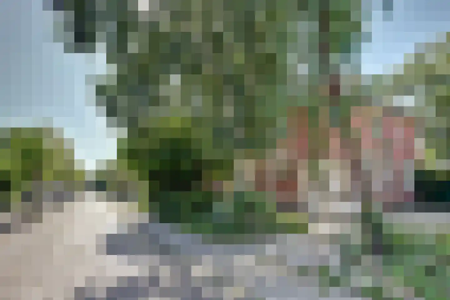 Lytsedyk 10 Menaam thumbnail 4