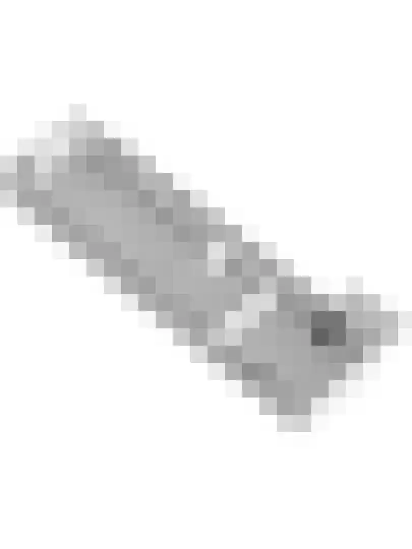 Lytsedyk 10 Menaam thumbnail 47