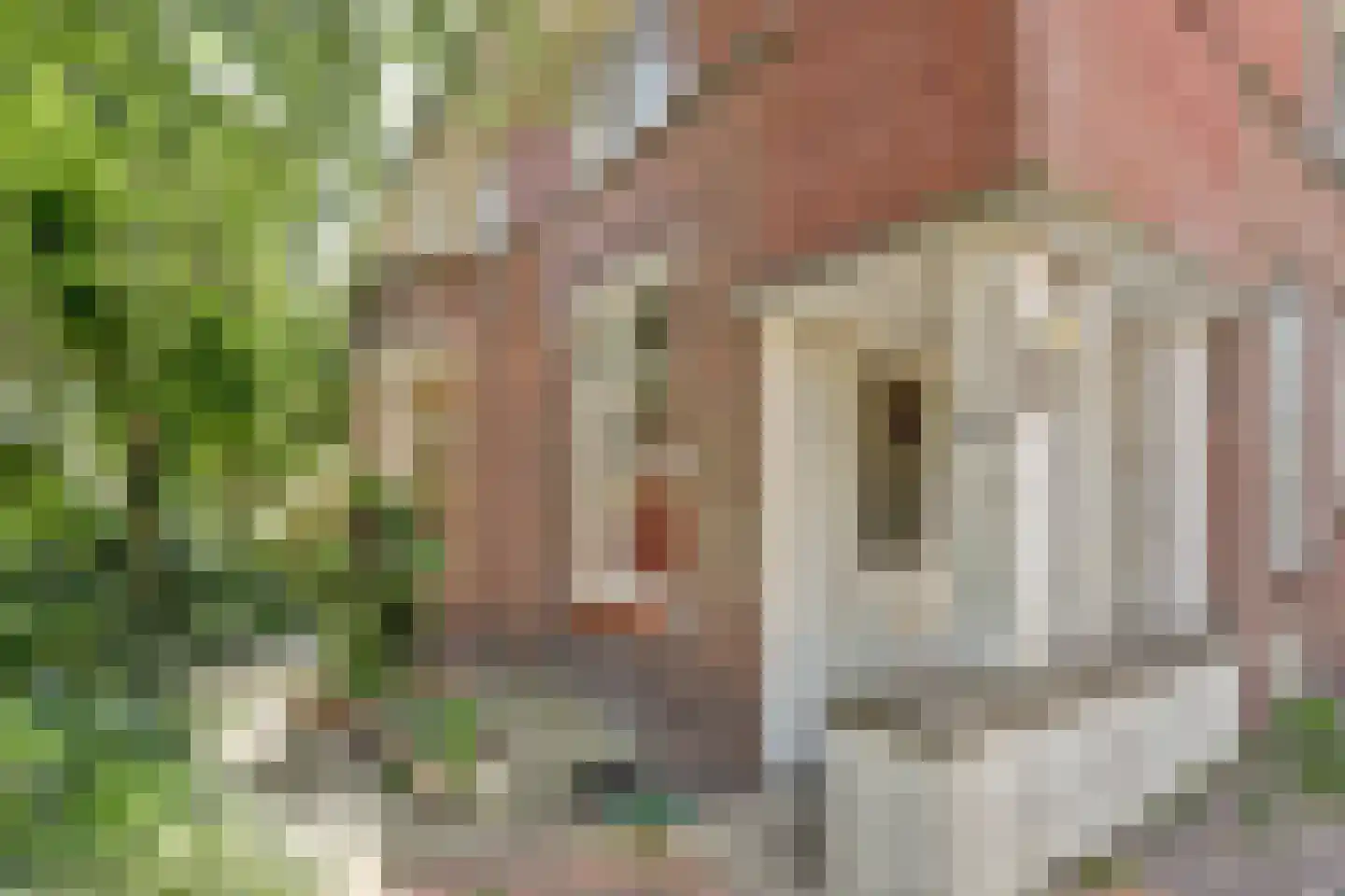 Lytsedyk 10 Menaam thumbnail 5