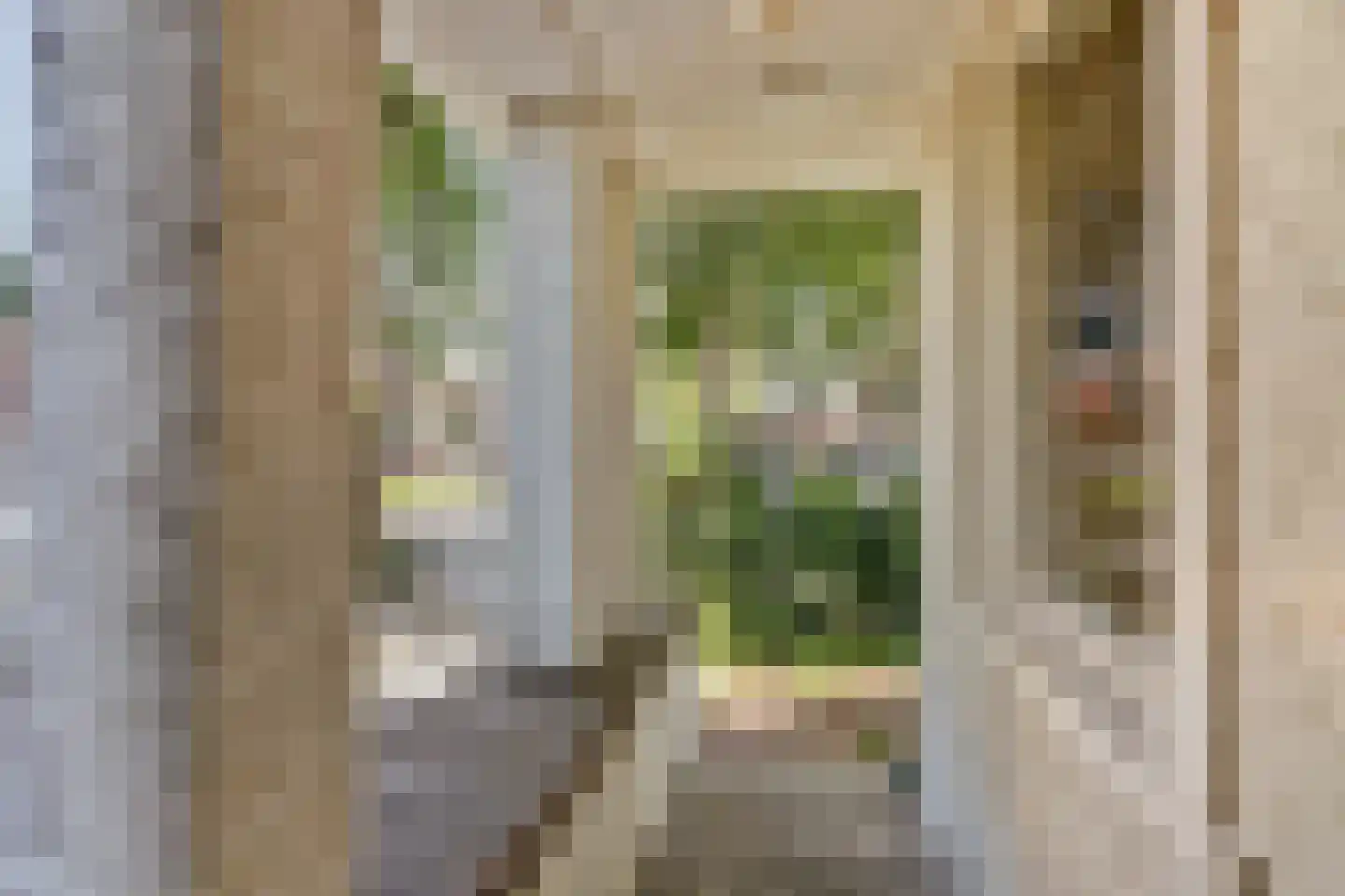 Lytsedyk 10 Menaam thumbnail 6