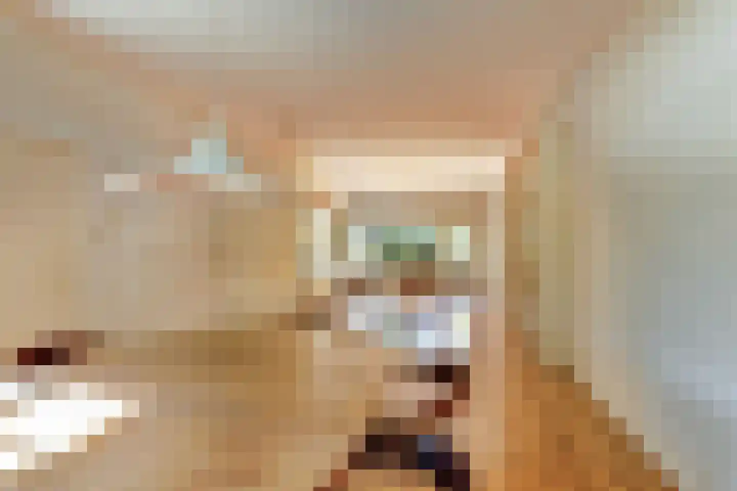 Lytsedyk 10 Menaam thumbnail 9