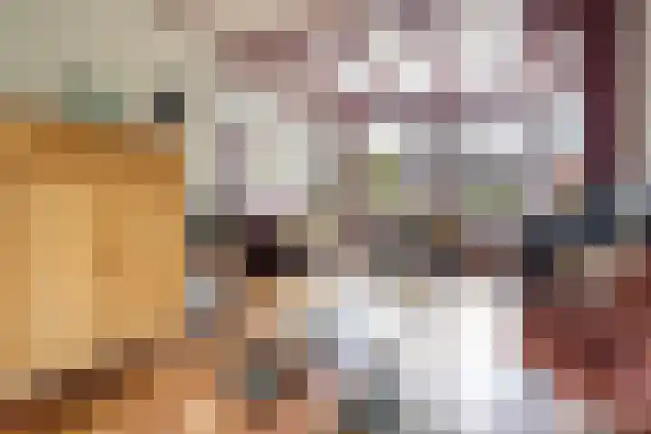 Lytsedyk 26 Menaam thumbnail 17