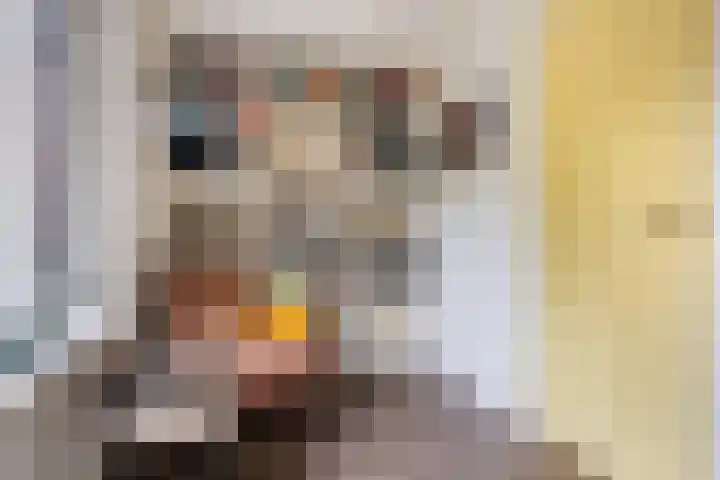 Lytsedyk 26 Menaam thumbnail 18