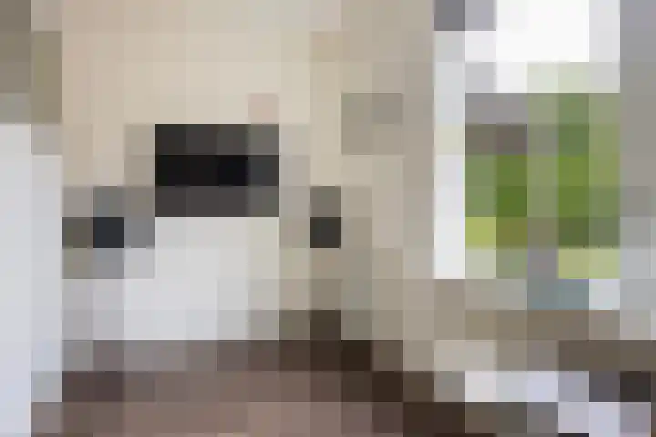 Lytsedyk 26 Menaam thumbnail 19