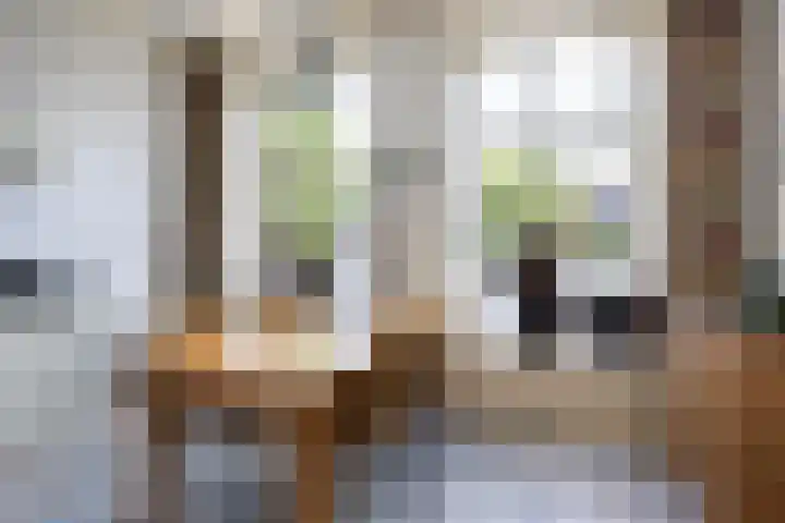 Lytsedyk 26 Menaam thumbnail 21