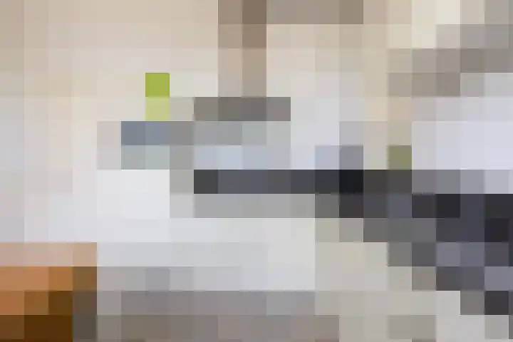 Lytsedyk 26 Menaam thumbnail 22